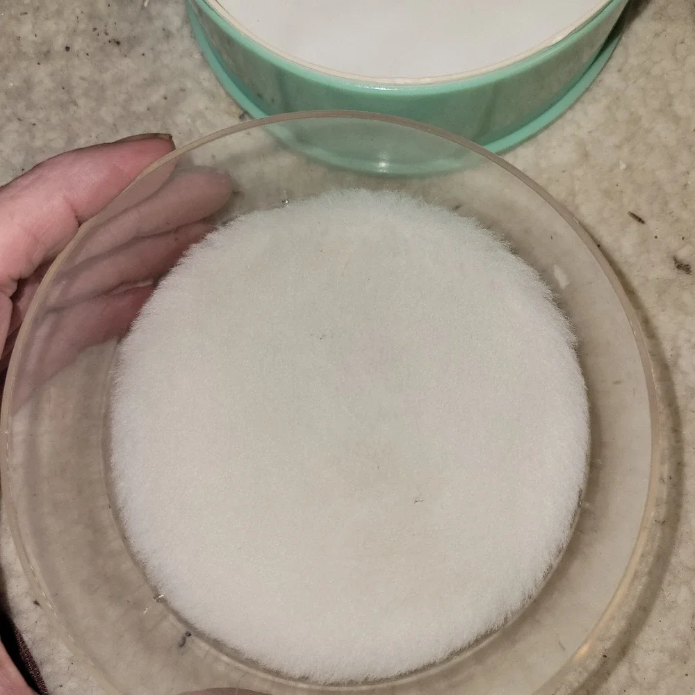 Vintage Coty‎ Muguet des Bois Dusting Powder 4 oz w/ Puff 1970s Sealed Partial